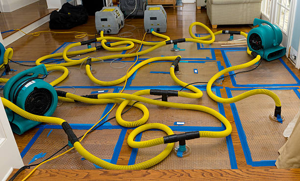 Professional Crawl Space Water Removal technician working in Mission, KS
